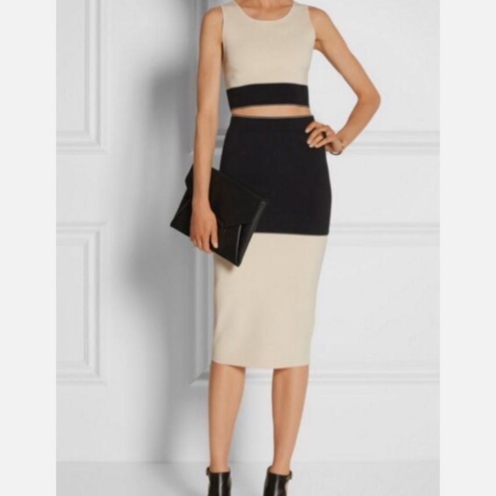 Rag And Bone Cream And Black Pencil Color Block S… - image 1